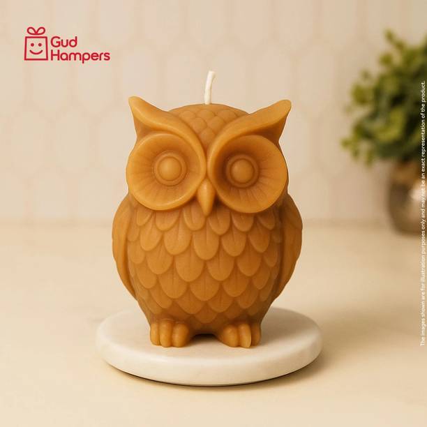GudHampers Owl Candle | Premium Scented Candle