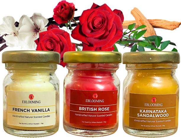 EBLOOMING Scented Candles Set For Home in Small Glass Jars I Rose, Vanilla, Sandalwood Candle