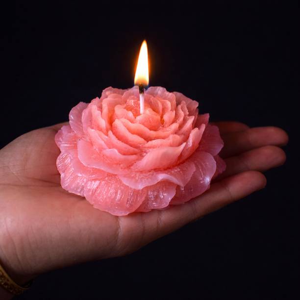 SDL Pink Rose Flower Designer Scented Candle Candle (, Pack of 2) Candle