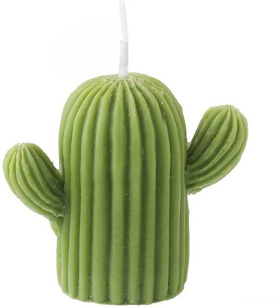Alsamz Handmade Cactus Candle Aromatherapy Soy Wax Candle - Scented Decor Piece Candle