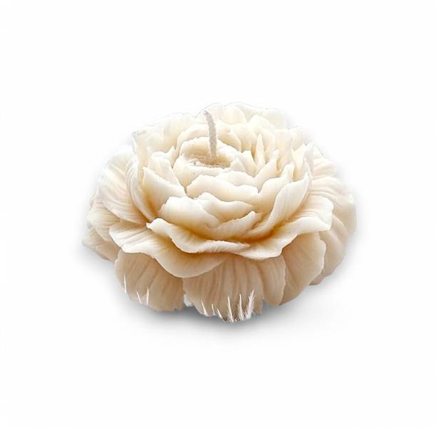 NIRVANA AROMAS Soy Wax Peony Candle with Mogra Scent for Home Decor Candle