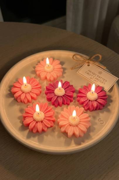KNEFT Set of 6 Daisy Candles, Pink Shades Candle