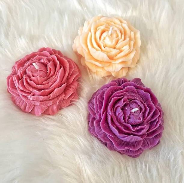 Crown's Queue Rose Shaped scented candle in Pack of 3 Candle