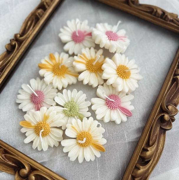 Ombrehouse Multicolour Daisy scented flowers (set of 10) Candle