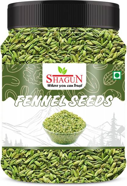 SHAGUN Fennel Seeds 300g| Organic Saunf | No Colours or Preservatives Saunf Mouth Freshener