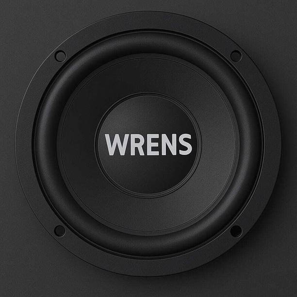 WRENS 6 Inch 400W Subwoofer Speaker | Heavy Magnet Deep Bass Car Audio Woofer DS-003 Coaxial Car Speaker
