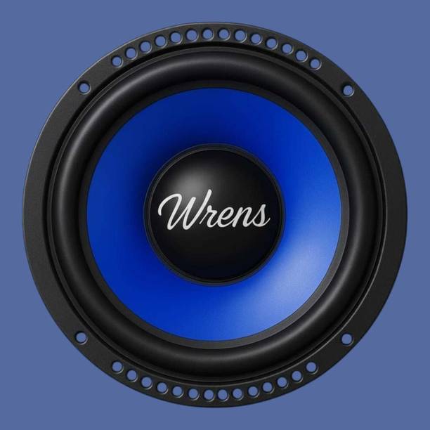 WRENS 6 Inch 300W Subwoofer Heavy Magnet High Power Woofer for Car Home Theater Tower DD-0117 Coaxial Car Speaker