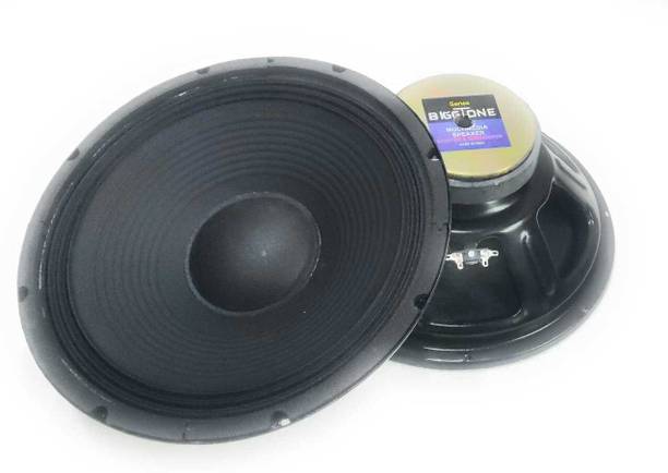 Biggtone 12 Inch DJ Woofer High Power Bass Speaker for Professional Sound Systems Black Subwoofer