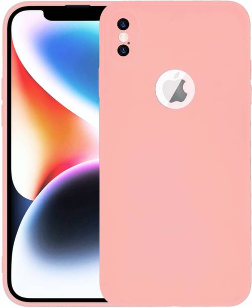 PUNAK Back Cover for Apple iPhone XS Max