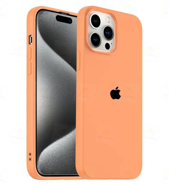 Big Wings Back Cover for APPLE IPHONE 15 PRO