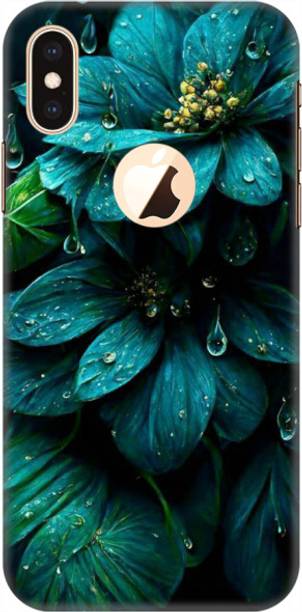 Coberta Case Back Cover for Apple iPhone XS Max
