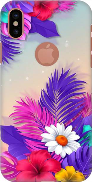 COBEIRTAS Back Cover for Apple iPhone X