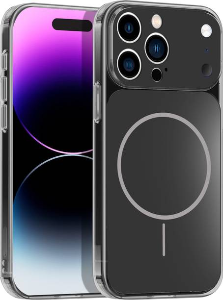 Big Wings Back Cover for Apple iPhone 16 Pro