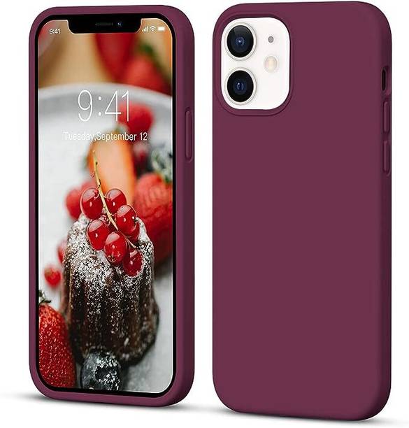 Stylonic Back Cover for Apple iPhone 11