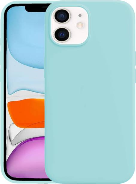 PUNAK Back Cover for Apple iPhone 11