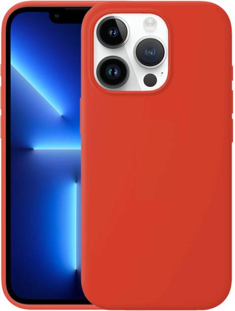 PUNAK Back Cover for Apple iPhone 13 Pro Max
