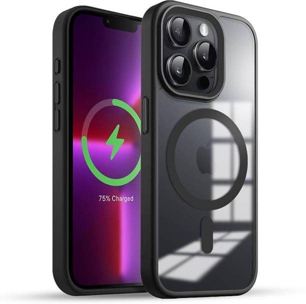 Big Wings Back Cover for APPLE iPHONE 15 PRO