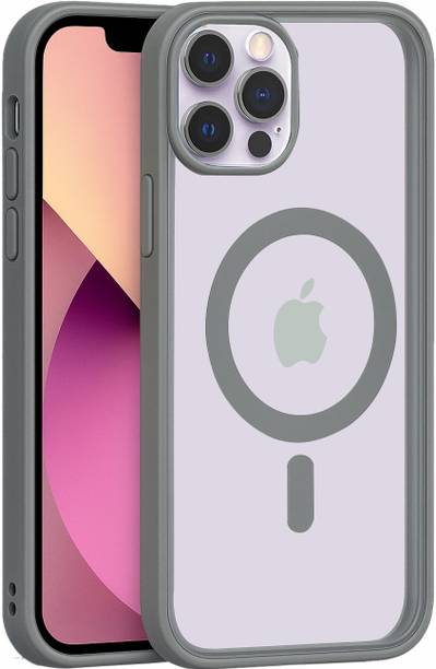 AIBEX Back Cover for Apple iPhone 13 Pro