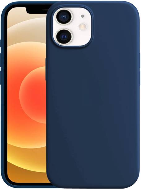 PUNAK Back Cover for Apple iPhone 11