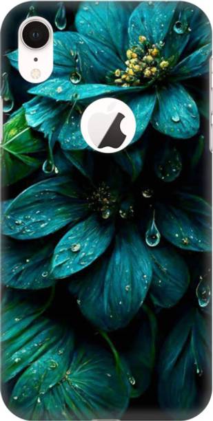 Coberta Case Back Cover for Apple iPhone XR