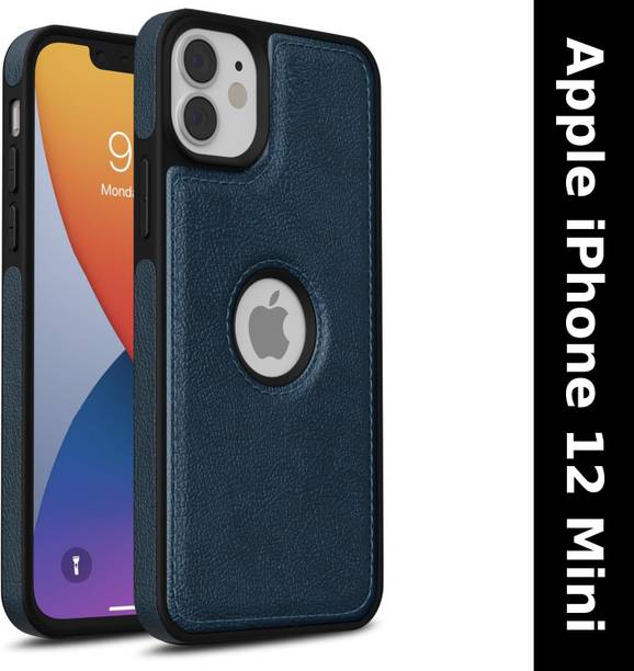 CASEHYP Back Cover for Apple iPhone 12 Mini