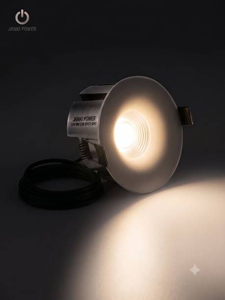 JANKI POWER Cob Light Ceiling Lamp