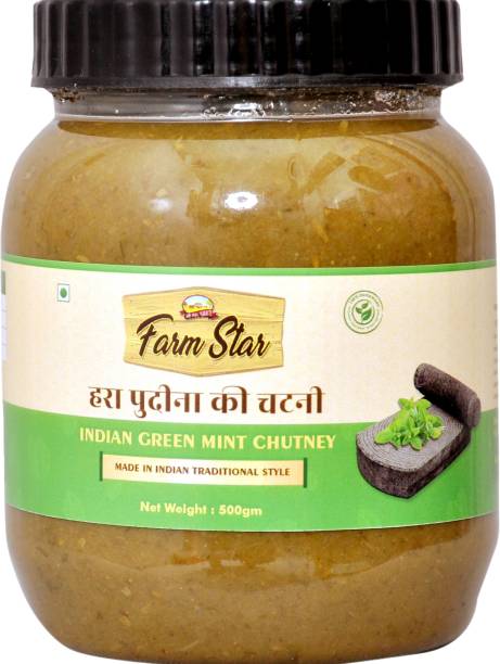 farm star Indian Green Mint Chutney | Pudina Chutney made in Indian Style Sauce & Dip