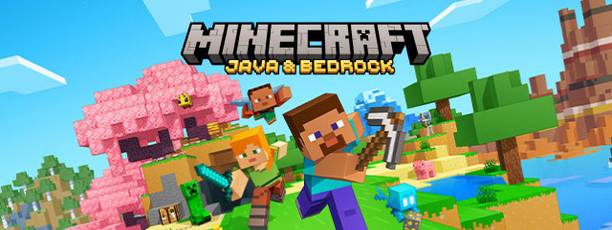 Minecraft java and bedrock standard