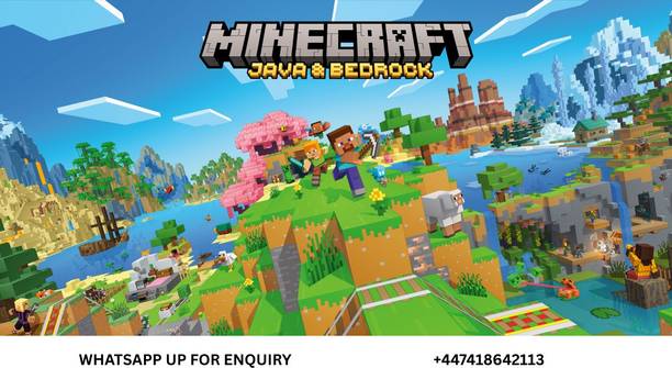 Minecraft Account java and bedrock edition
