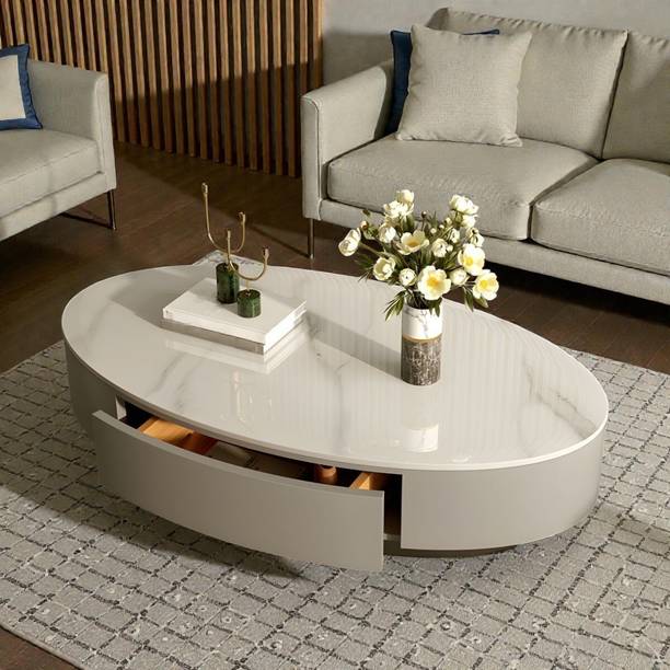 Tanush Furnitures Modern Low-Profile Coffee Table with Oval Shape and Storage Drawers Engineered Wood Coffee Table