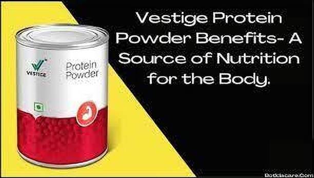 Vestige Protein Powder 500g