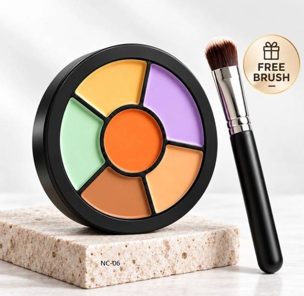 NKB Professional Concealer Corrector Palette with 2 Bru...
