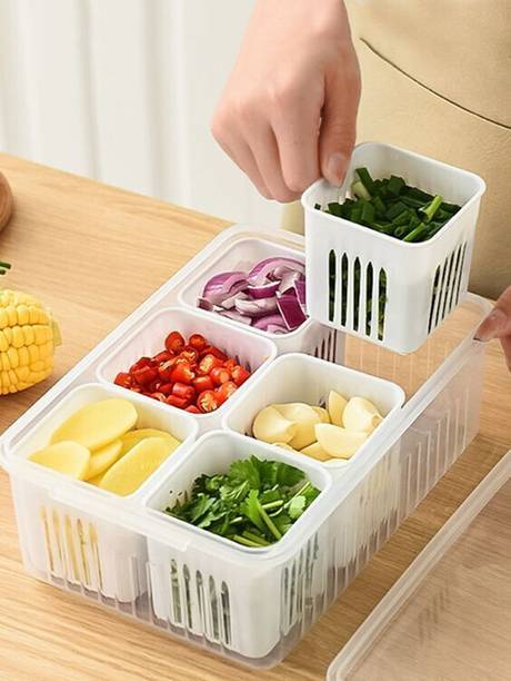 RABBITO Plastic Fridge Container  - 2300 ml