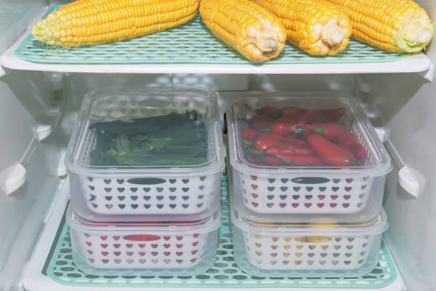 Sentricus Plastic Fridge Container  - 2500 ml