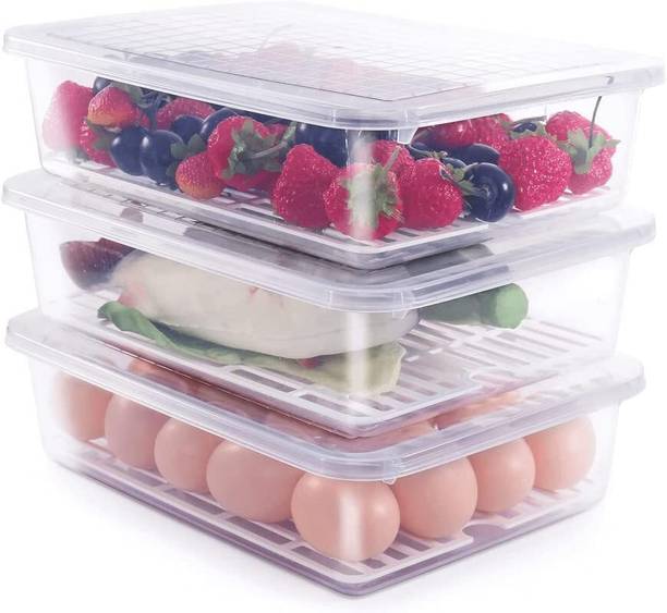 STARKENDY Plastic Fridge Container  - 2500 ml