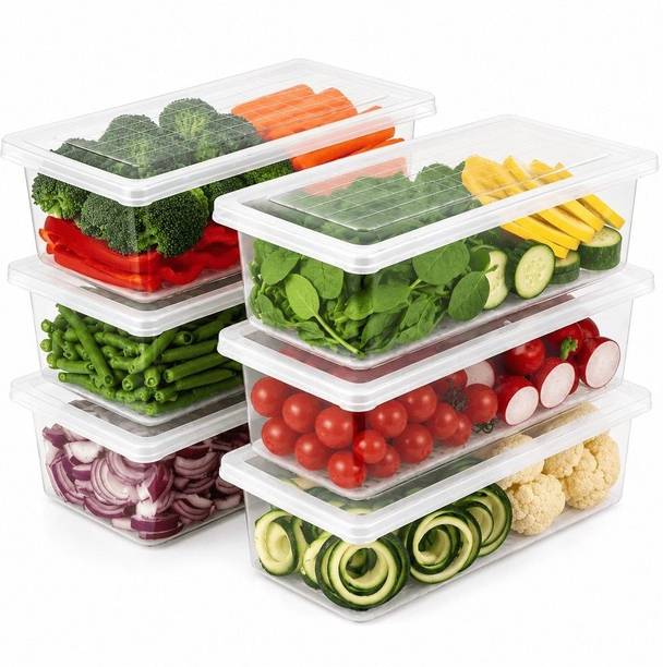 XELTRON Plastic Fridge Container  - 1500 ml
