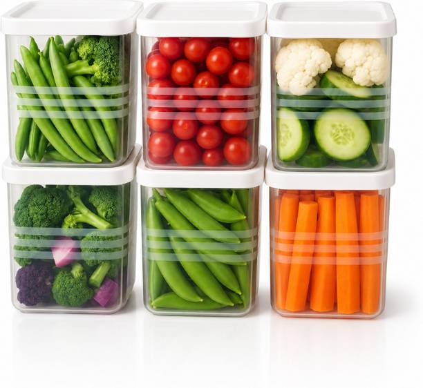 Shree Shyam Traders Plastic Fridge Container  - 3000 ml
