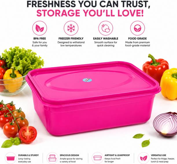 GayatriAndCompany Plastic Fridge Container  - 3 L