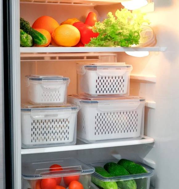 Avirup Polypropylene Fridge Container  - 4500 ml