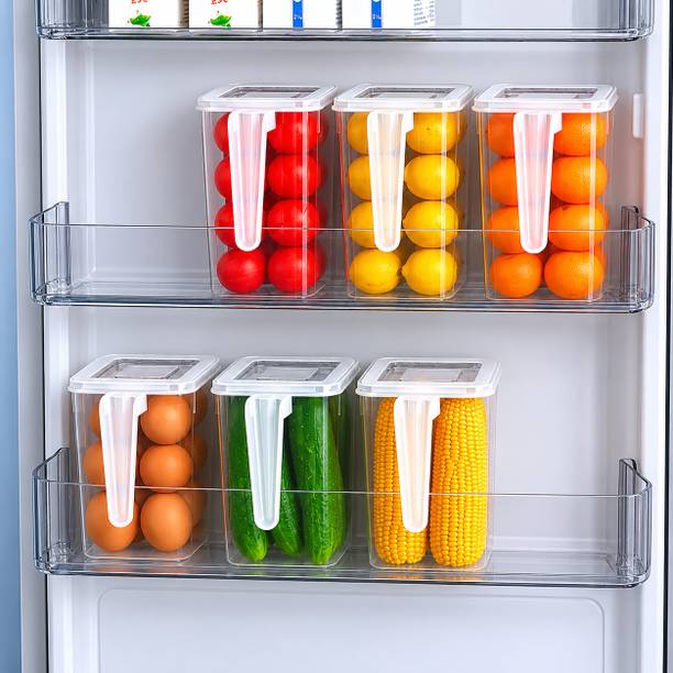 EMBICON Plastic Fridge Container  - 1100 ml