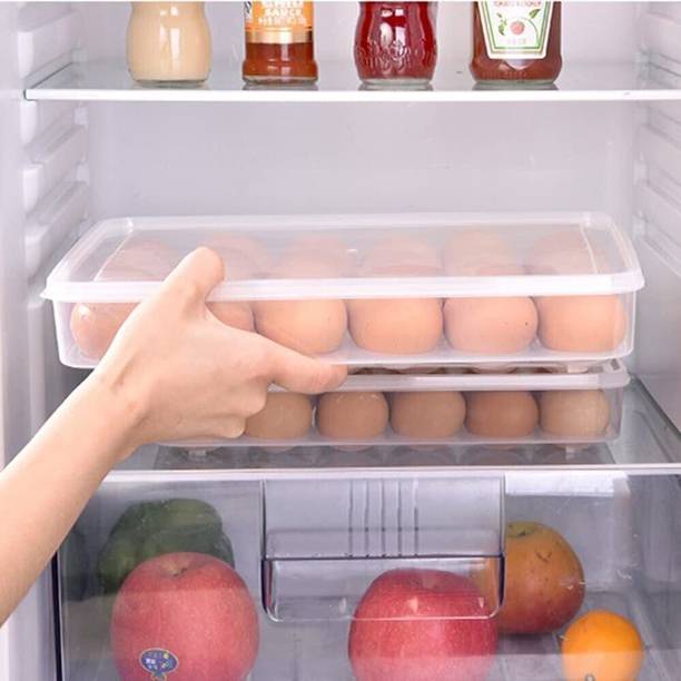 JIGSHTIAL Plastic Egg Container  - 2 dozen