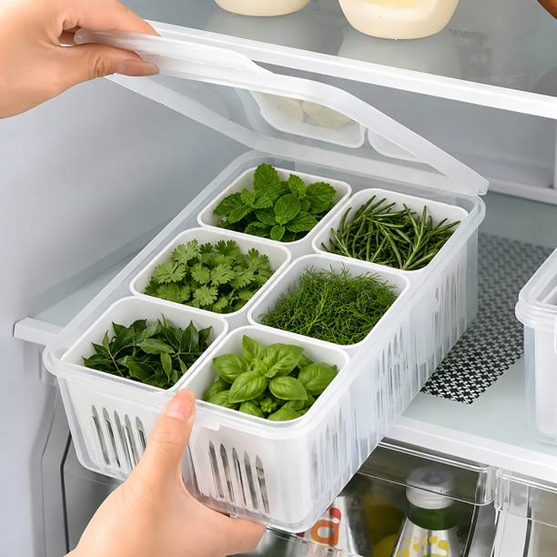 Swamriddhi 6 IN 1 FRIDGE CONTAINER 2200 ML / FRIDGE SEPARATOR  - 2200 ml