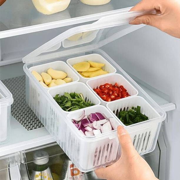 RAYORA Plastic Fridge Container  - 2300 ml