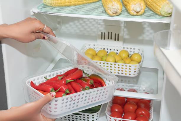 Snowberry Plastic Fridge Container  - 2500 ml