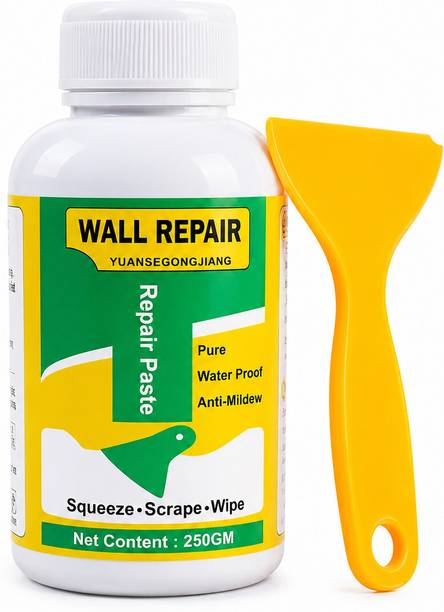 Xydrozen Wall Repair Paste 250gm | Waterproof Wall Crack Filler & Hole Repair Putty Crack Filler