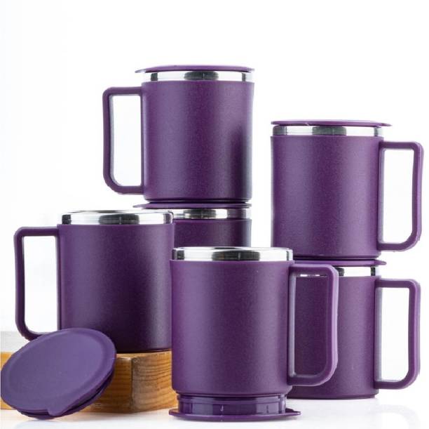 वाइनबर्ड स्टेनलेस स्टील