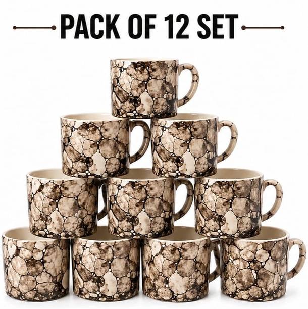 Shailendra Pack of 12 Ceramic