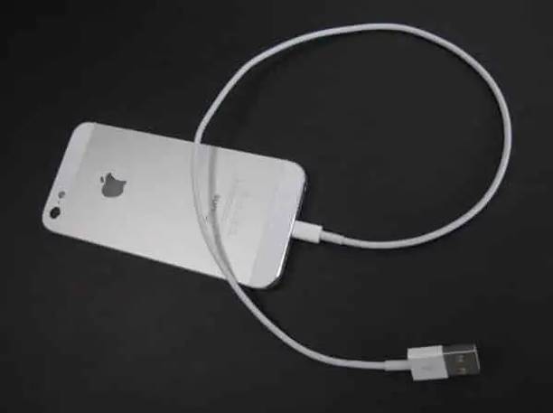 DVJ Lightning Cable 1 m For-iPhone 12 13 5S SE 6 6S 7 8 Plus 11 PRO X XS Max XR Wire