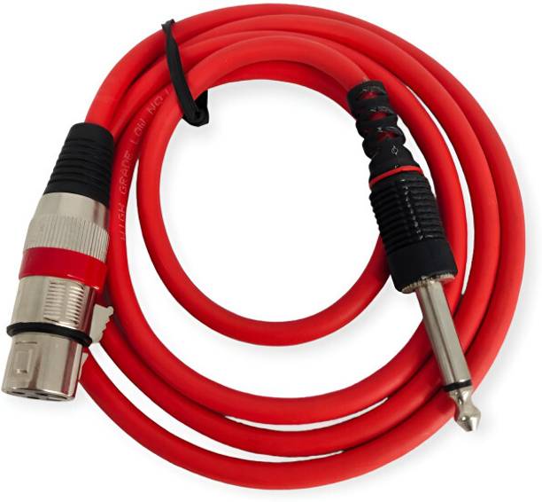 TZ SMART Lightning Cable 1.5 m 3 Pin Mic Extension Female Xlr To 6.3Mm P-38 Mono Male Cable