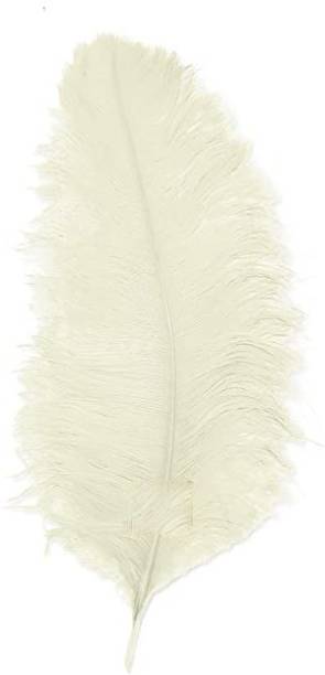 QUBRA ENTERPRISES Pack of 3 Decorative Feathers